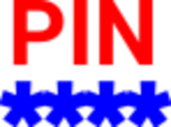 PIN Icon